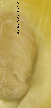 2005:13