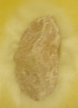 2005:26
